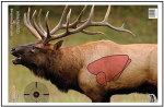 ElkShotPlacement - Anatomy.png