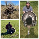 gobble.jpg