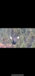 C1C38309-BA03-4093-ABD7-8718CE842F42.png