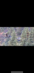 9F6C99C7-EED6-49B1-8494-FD59DB6C2EE9.png
