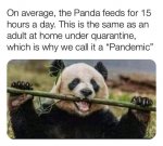 FB_IMG_15906981677217786.jpg