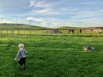 3AB6E765-F495-40AD-943B-42B6F5C4BCFF.jpeg