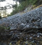 2015 Idaho rock slide.jpg