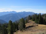 IMG_2207.jpg