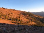 IMG_2227.jpg
