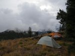 IMG_2253.jpg