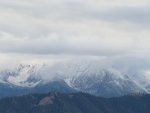 IMG_2299.jpg