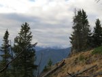 IMG_2298.jpg
