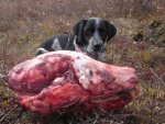skeeter eyes griz skull.jpg
