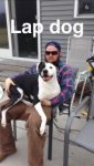 uploadfromtaptalk1448030433142.jpg