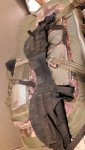 20200611_120638.jpg