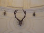 DSC00450.JPG