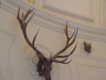 DSC00451.JPG