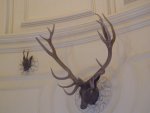 DSC00453.JPG