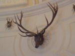 DSC00454.JPG