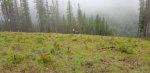 20200613_103350.jpg