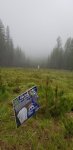 20200613_102952.jpg