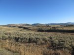 IMG_0993.JPG