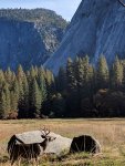IMG_20161029_152519.jpg