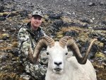Dall Sheep 2.jpg