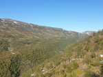 20200624_185316.jpg