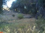 Example Terrain.JPG Example Terrain.JPG
