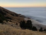 Coast Fog.jpg Coast Fog.jpg