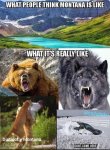 whatMontanaIsLike.jpg