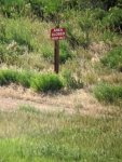 IMG_20200625_172426.jpg