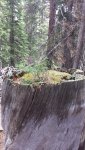 20200705_122807.jpg