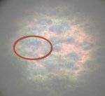 WP_20190519_007.jpg