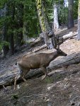IMG_4012.jpg