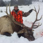 first elk.jpg