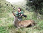 Sally's Free range stag.jpg