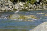 DSCF4385.jpg