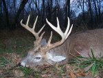 10 Point Buck 013.jpg