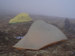 P1010100_2.jpg