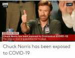 chuck-norris-has-been-exposed-to-covid-19-70739352.png