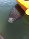 A19EFEDC-AA53-474D-B7E9-0C00D5149BAD.jpeg