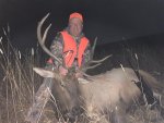 Elk 1.jpeg