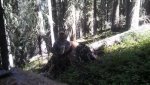 IMG_20130901_102954_744_2.jpg