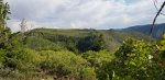 20200720_182347.jpg