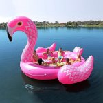 11559C26-3AB1-49E0-B875-8AD54E1AC8F0.jpeg