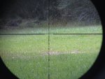 IMG_3927.JPG