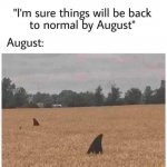 FB_IMG_1596339442401.jpg
