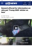 bear.jpg