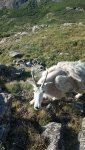 20200802_080835.jpg