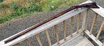 IMG_2564a.JPG