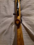 20200806_204653.jpg