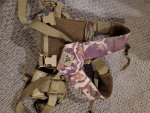 20200807_120421.jpg